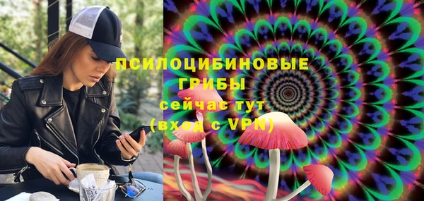 стаф Баксан