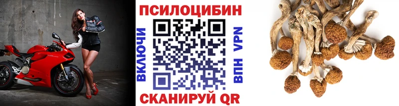 где можно купить наркотик  Дигора  Галлюциногенные грибы ЛСД 