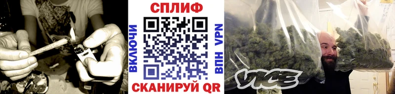 Шишки марихуана сатива  закладка  Дигора 